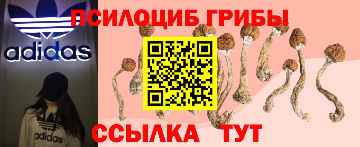 Псилоцибиновые грибы MAGIC MUSHROOMS Жигулёвск